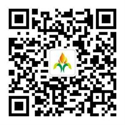 不锈钢微信号二维码 258X258