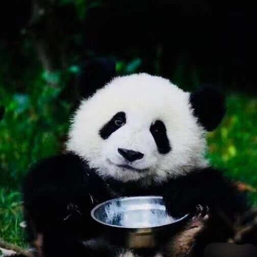 QQ图片20200413180718