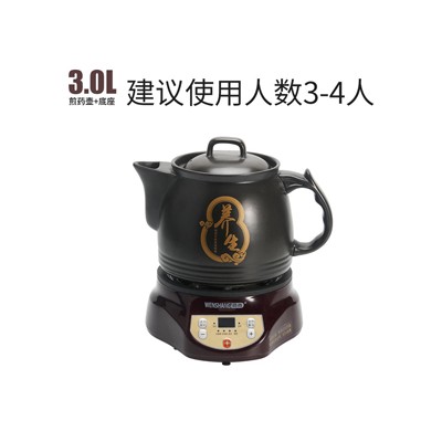 养生煲 电药壶 煲汤锅+底座 3.0L
