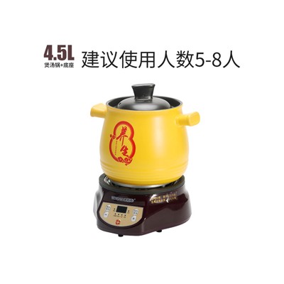 养生煲 电药壶 煲汤锅+底座 4.5L